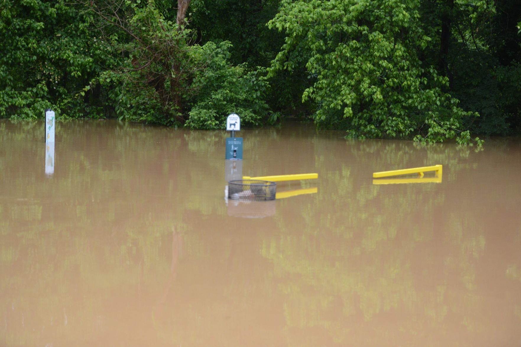 Flood